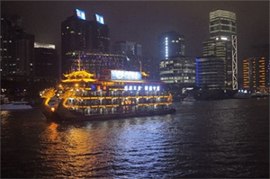 替代能源对上海农业的影响 替代能源对上海农业的影响